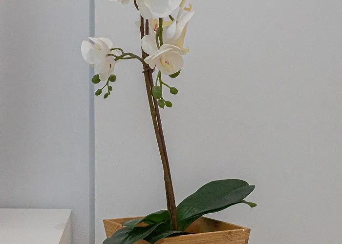 Lejlighed Selfcheck In Relax Wifi 220mb Close To The