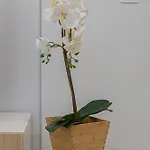 Διαμέρισμα Quiet Couples Apt, 10 Min Walk To Beach, Shopping & Dining District, 50m Hospital, Wifi