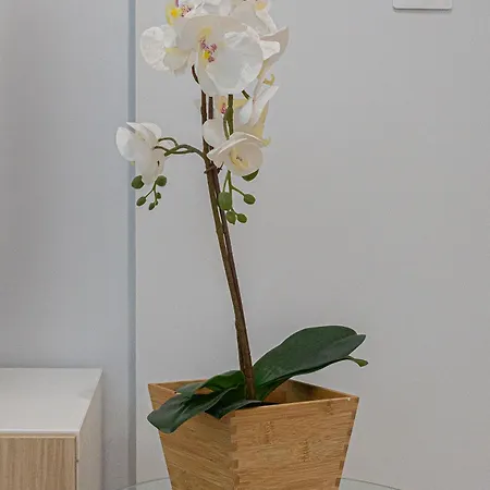 Apartamento Selfcheck In Relax Wifi 220mb Close To The